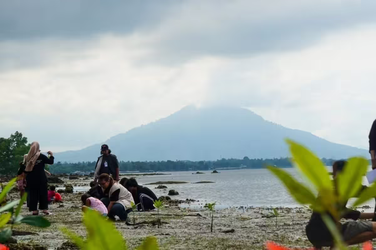 Jaga Lingkungan, Ini yang Dilakukan Kolaborasi Mahasiswa dan NHM 38 Kegiatan bersih pantai dan penanaman mangrove dipusatkan di Pulau Kumo, Kabupaten Halmahera Utara, Rabu (31/7/2024).