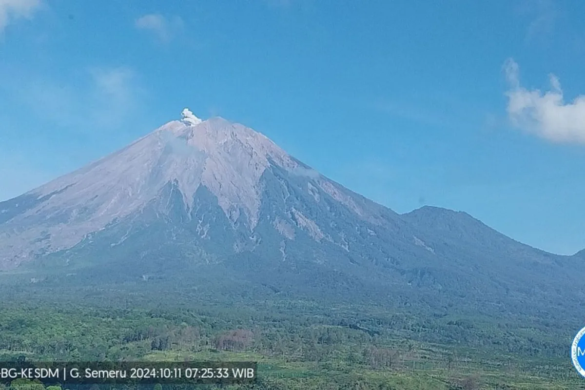Gunung Semeru mengalami erupsi pada Jumat, 11 Oktober 2024, pukul 07.25 WIB. PVMBG