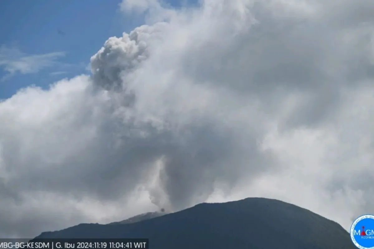 Gunung Ibu mengeluarkan suara gemuruh saat erupsi pada Selasa (19/11/2024) sekitar pukul 11.03 WIT, yang suaranya terdengar hingga Pos Pengamatan Gunung Api (PGA).