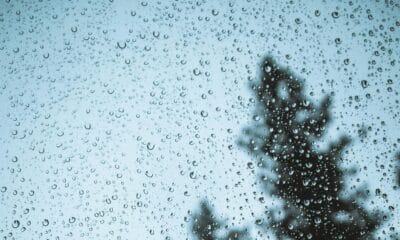 Ilustrasu hujan. Pexels/Sam Willis.