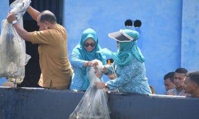 Staf Ahli Walikota bersama Ketua TP-PKK Kota Tidore Kepulauan Rahmawati Muhammad Sinen, dan Ketua I TP-PKK Kota Tidore Kepulauan Sumiyati Ahmad Laiman Melakukan Panen Udang Vaname.