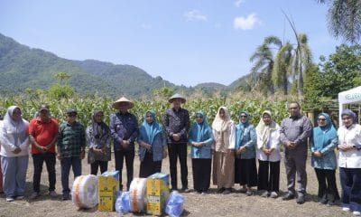 Panen Jagung Jadi Wujud Nyata Sinergi dan Kolaborasi Ketahanan Pangan di Kota Tidore Kepulauan