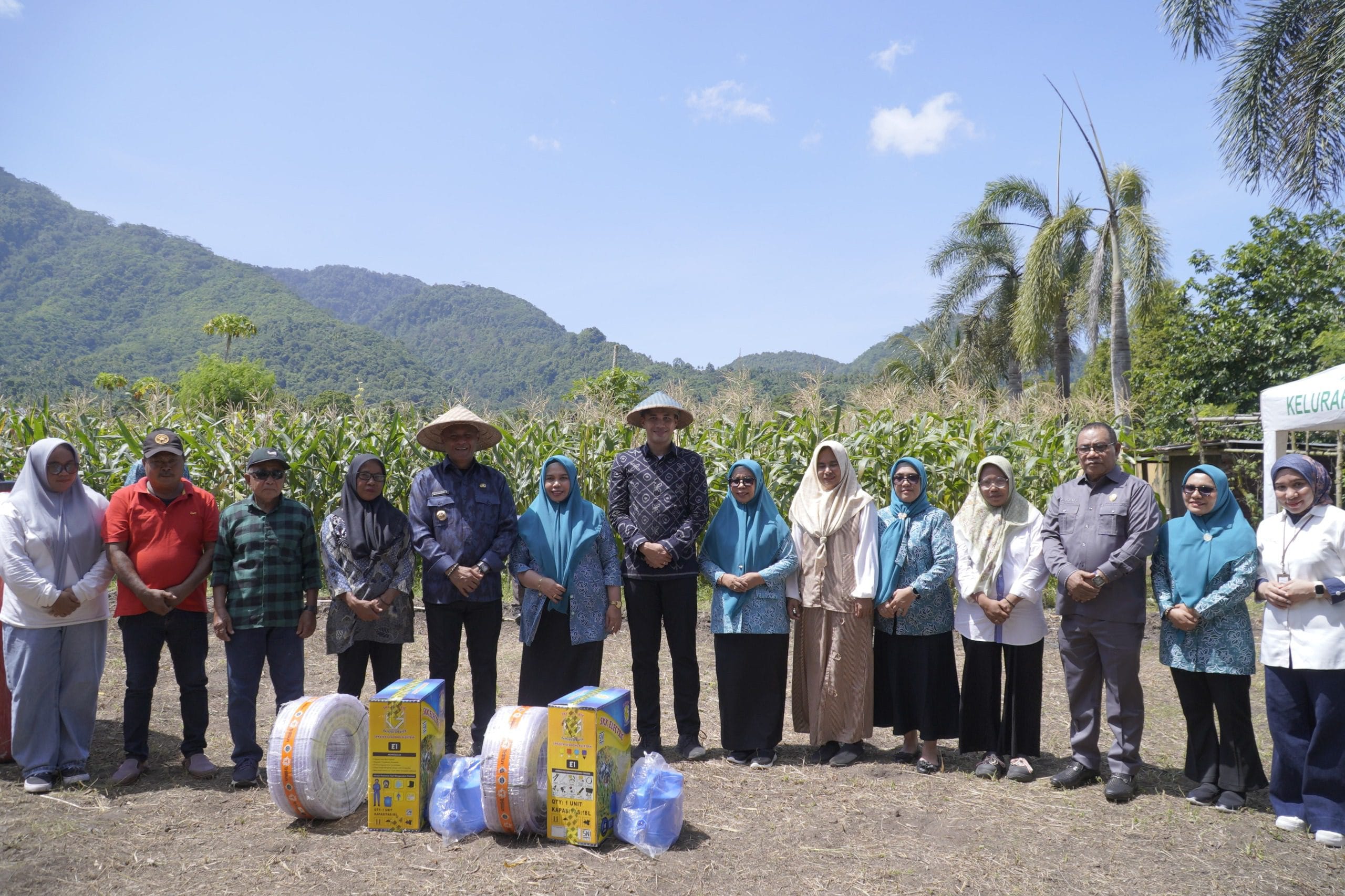 Panen Jagung Jadi Wujud Nyata Sinergi dan Kolaborasi Ketahanan Pangan di Kota Tidore Kepulauan